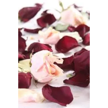 Beautifiul Dry Rose 